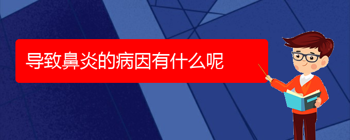 (貴陽過敏性鼻炎怎么治啊)導致鼻炎的病因有什么呢(圖1)