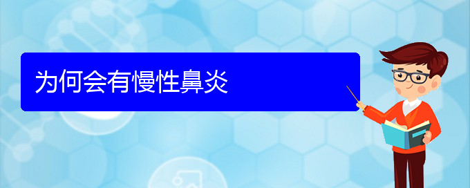 (貴陽(yáng)看慢性鼻炎能報(bào)銷嗎)為何會(huì)有慢性鼻炎(圖1)