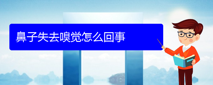 (貴陽(yáng)治療慢性鼻炎的好醫(yī)院)鼻子失去嗅覺(jué)怎么回事(圖1)