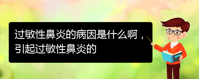 (貴州什么醫(yī)院治療過敏性鼻炎)過敏性鼻炎的病因是什么啊，引起過敏性鼻炎的(圖1)