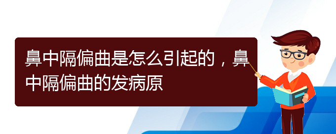 (貴陽一般看鼻中隔偏曲多少錢)鼻中隔偏曲是怎么引起的，鼻中隔偏曲的發(fā)病原(圖1)