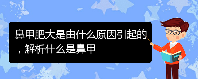 (貴陽鼻甲肥大如何治療)鼻甲肥大是由什么原因引起的，解析什么是鼻甲(圖1)