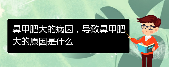 (貴陽治療鼻甲肥大正規(guī)的醫(yī)院)鼻甲肥大的病因，導(dǎo)致鼻甲肥大的原因是什么(圖1)