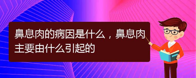 (貴陽鼻息肉治療哪家好)鼻息肉的病因是什么，鼻息肉主要由什么引起的(圖1)