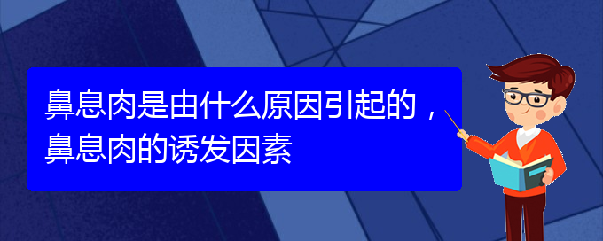 (看鼻息肉貴陽哪個醫(yī)院好)鼻息肉是由什么原因引起的，鼻息肉的誘發(fā)因素(圖1)