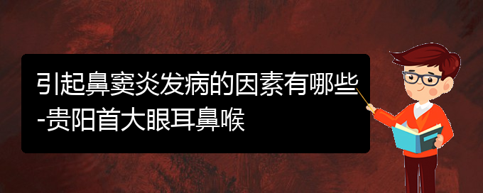 (貴陽(yáng)治療鼻竇炎的專業(yè)醫(yī)院)引起鼻竇炎發(fā)病的因素有哪些-貴陽(yáng)首大眼耳鼻喉(圖1)