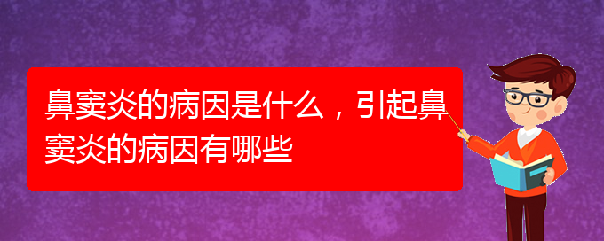 (治鼻竇炎貴陽哪家醫(yī)院好)鼻竇炎的病因是什么，引起鼻竇炎的病因有哪些(圖1)
