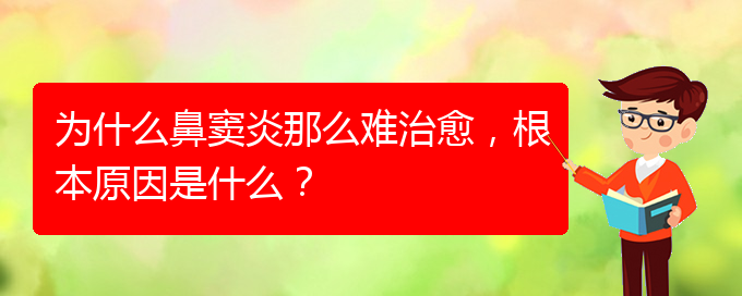 (貴陽治療鼻竇炎要多少費用)為什么鼻竇炎那么難治愈，根本原因是什么？(圖1)