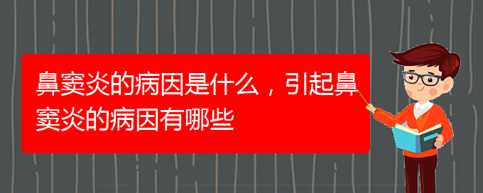 (治鼻竇炎貴陽哪家醫(yī)院好)鼻竇炎的病因是什么，引起鼻竇炎的病因有哪些(圖1)