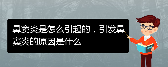 (鼻竇炎治療醫(yī)院貴陽)鼻竇炎是怎么引起的，引發(fā)鼻竇炎的原因是什么(圖1)