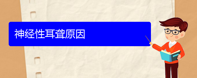 (貴陽(yáng)耳科醫(yī)院掛號(hào))神經(jīng)性耳聾原因(圖1)