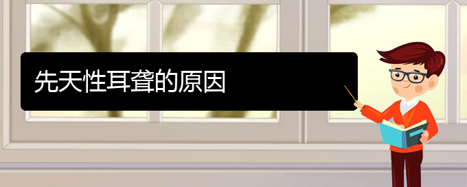 (貴陽(yáng)看耳聾要花多少錢(qián))先天性耳聾的原因(圖1)