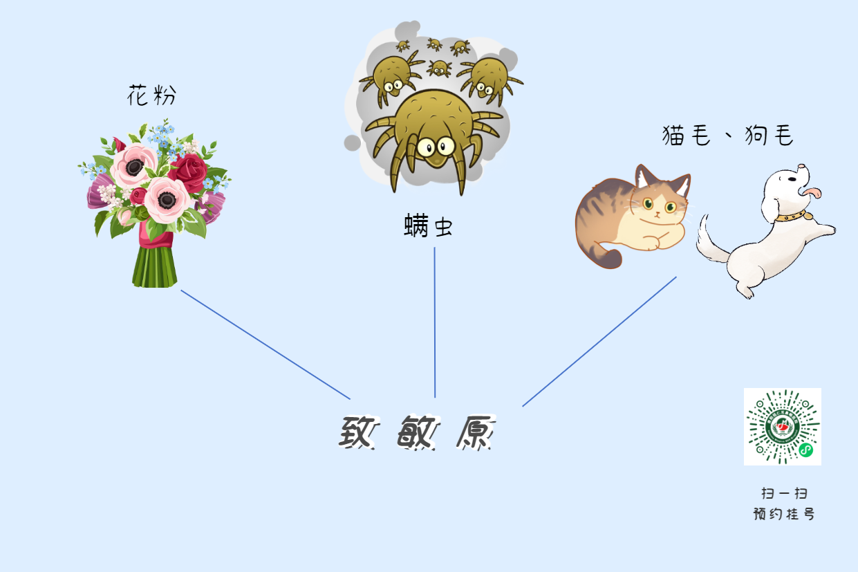 過敏性鼻炎并非小事，不要掉以輕心，注意“變”成哮喘！(圖2)
